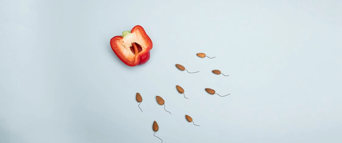 Comment connaitre sa date d'ovulation ?